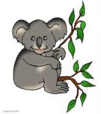 Koalaen